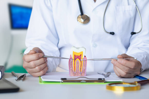 Best Emergency Root Canal Treatment in Merriam Woods, MO